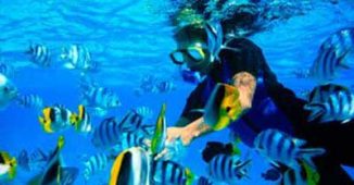 imagen El buceador en Bora Bora