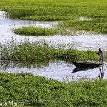 El Nilo le da la vida a Egipto