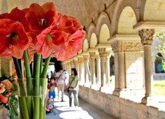 imagen Temps de Flors, Girona