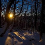 Un cerrado bosque de Nothofagus (Lengas, Coihues y Ñirres) es una protección ideal contra el frío viento