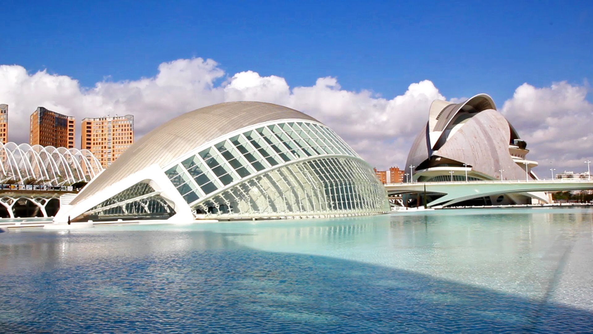 Museo De Las Artes Y Las Ciencias NYDXRF