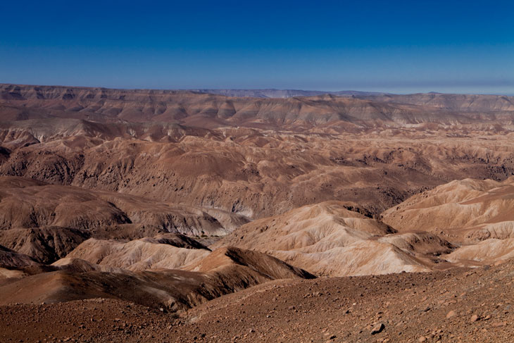 Desierto de la precordillera andina © Ronny Belmar