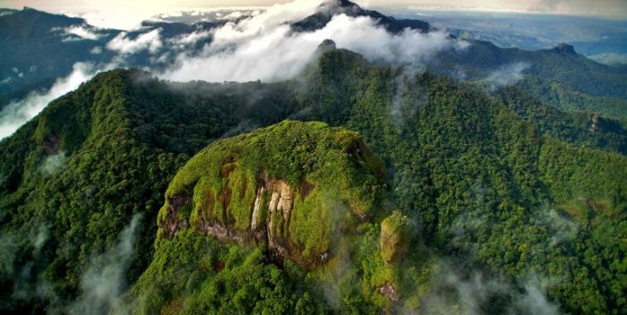 imagen Parques Nacionales de Panamá: un…