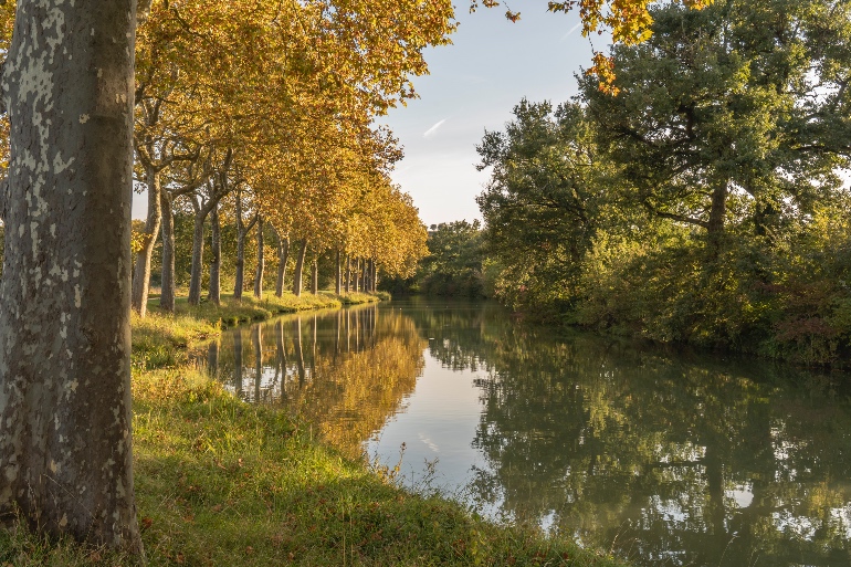 Canal du Midi en otoño © Remi Deligeon