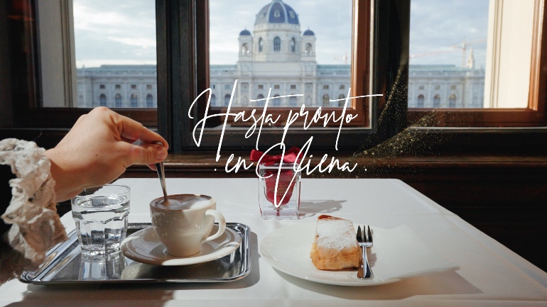 Un strudel y un café son un magnífico colofón a una visita por el Museo de Historia del Arte en Viena