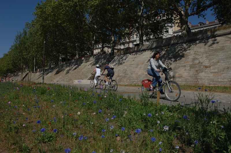 La bici es un medio de transporte ideal para conocer Lyon