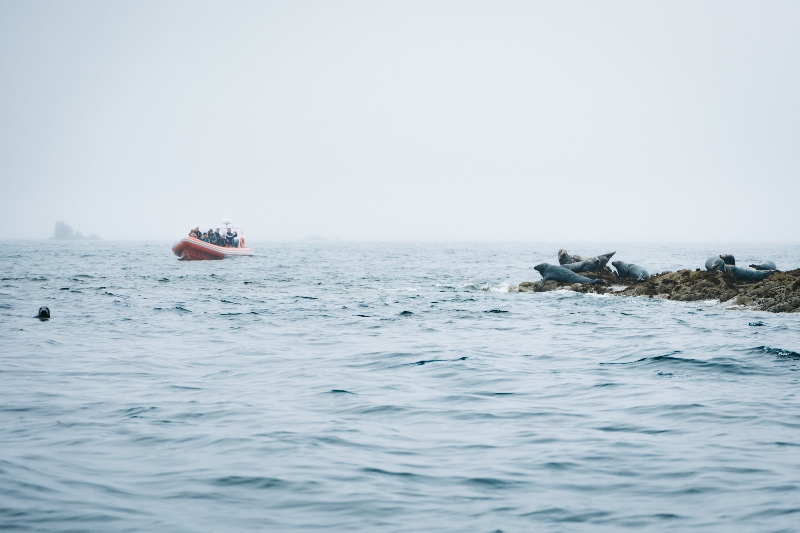 Navegar entre faros hasta la isla de Molène ©Nicolas Dequin