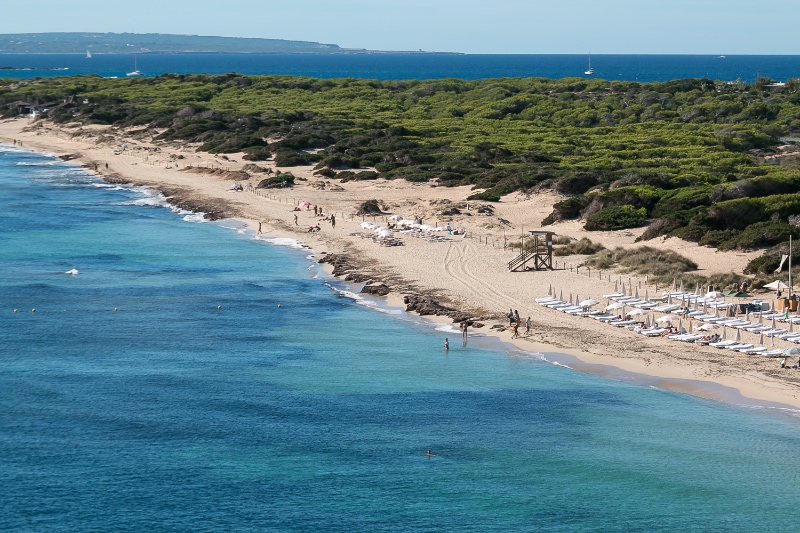Playa de Ses Salines.