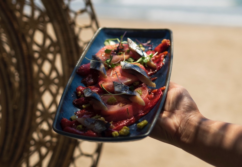 La Gastronomía de Punta Roca es excelente como viene siendo habitual en los establecimientos del Tibu-Ron Group.