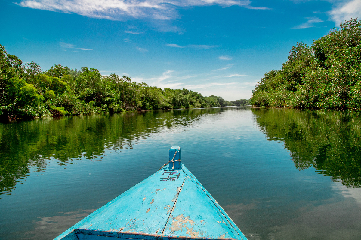 Manglar Santa Rosa