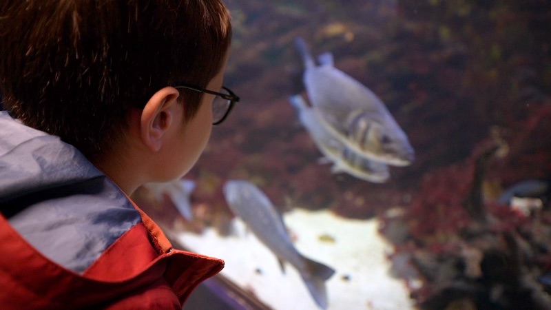 El Aquarium de Santa Pola es el más antiguo de la Comunitat Valenciana