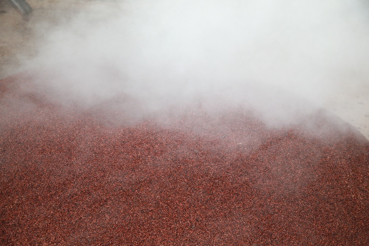 El sorgo rojo es uno de los ingredientes de Moutai