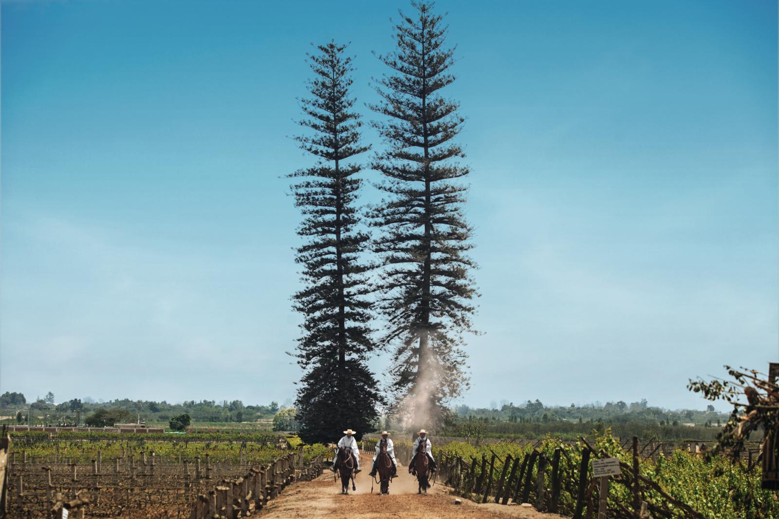 Valles peruanos Valles peruanos