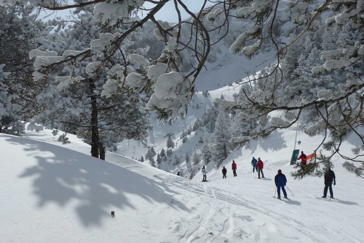 La Masella La Masella