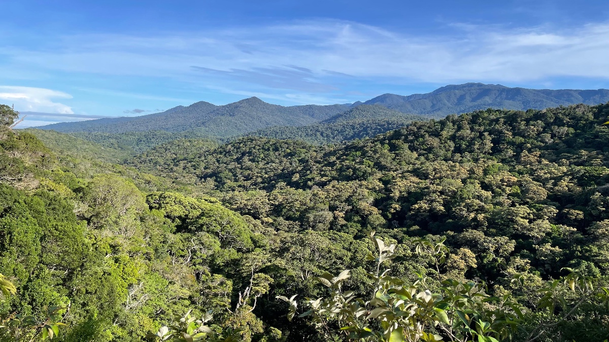 San Vito de Coto Brus San Vito de Coto Brus