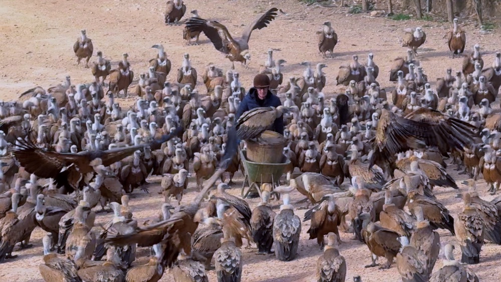 Mas de Bunyol Mas de Bunyol