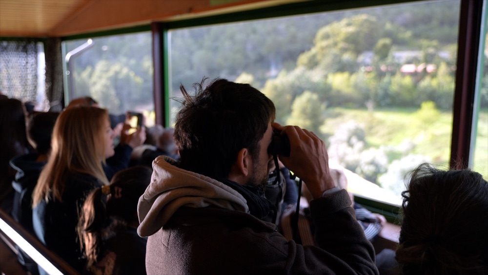 Avistamiento de buitres en Mas Bunyol Avistamiento de buitres en Mas Bunyol