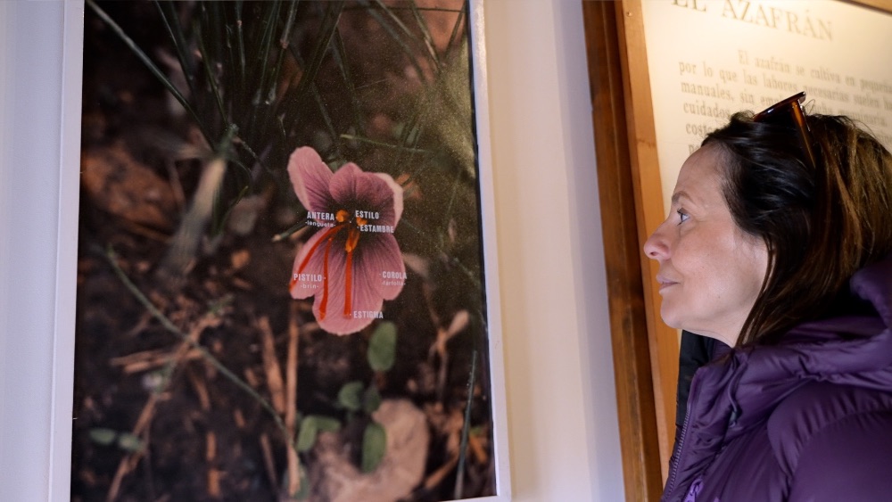 Museo del azafrán de Monreal del Campo Museo del azafrán de Monreal del Campo