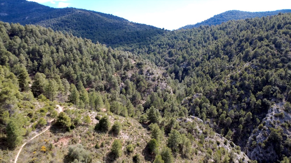 Paisajes del Mediterraneo