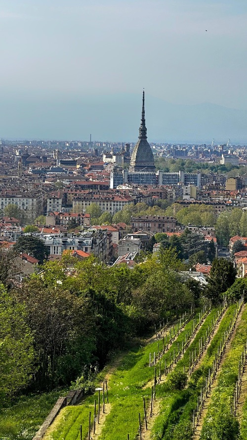 Vista de la Mole Antonelliana desde la Villa della Regina Vista de la Mole Antonelliana desde la Villa della Regina