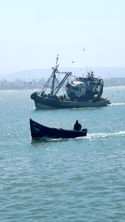 Pescadores llegando a puerto. Foto Juan Coma Pescadores llegando a puerto. Foto Juan Coma