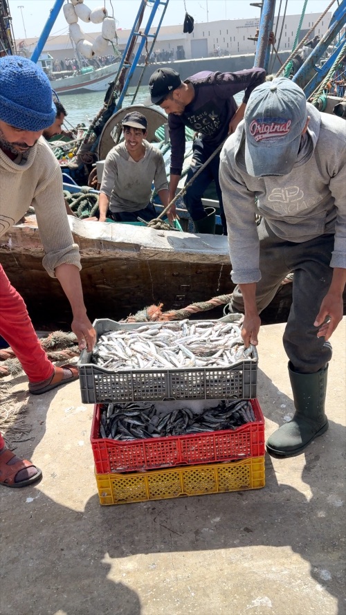 Pescadores descargando las capturas del día. Foto Juan Coma Pescadores descargando las capturas del día. Foto Juan Coma