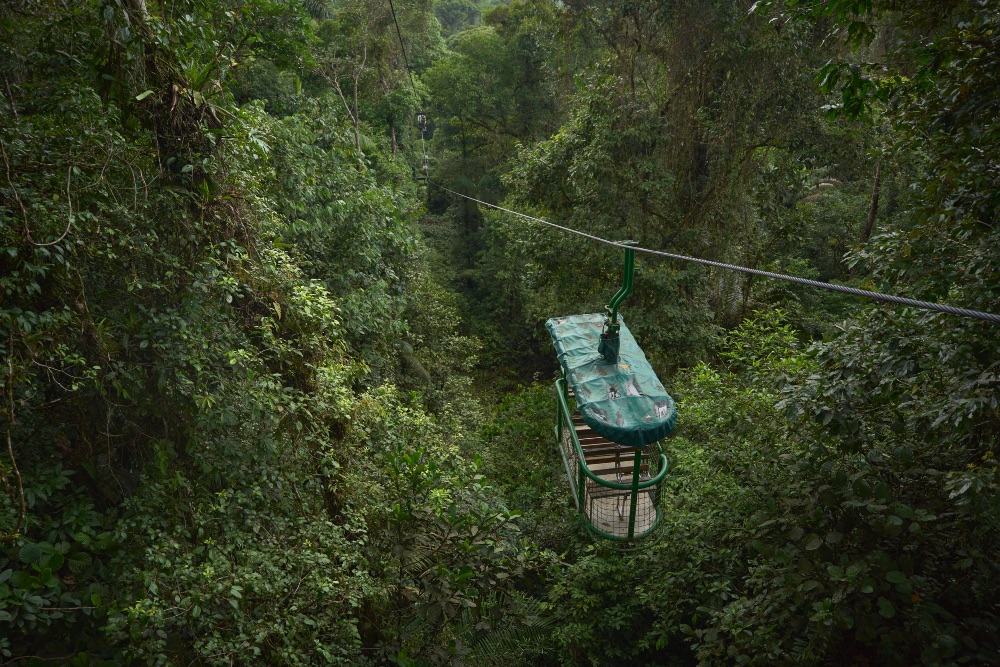 Parque Nacional Braulio Carrillo Parque Nacional Braulio Carrillo