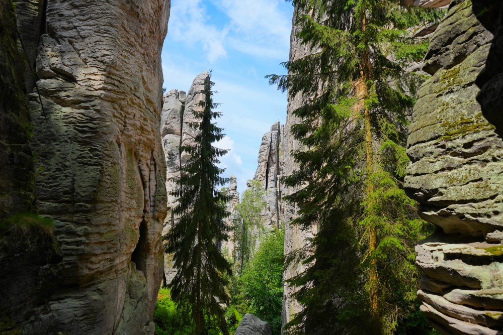Rocas de Prachov. Foto Amaya Basa - CzechTourism Rocas de Prachov. Foto Amaya Basa - CzechTourism