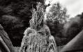 Halloween en Irlanda: un viaje al origen de Samhain imagen Halloween en Irlanda: un viaje…