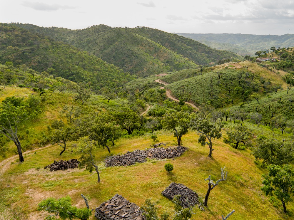 São Brás de Alportel. Foto David Santos. São Brás de Alportel. Foto David Santos.