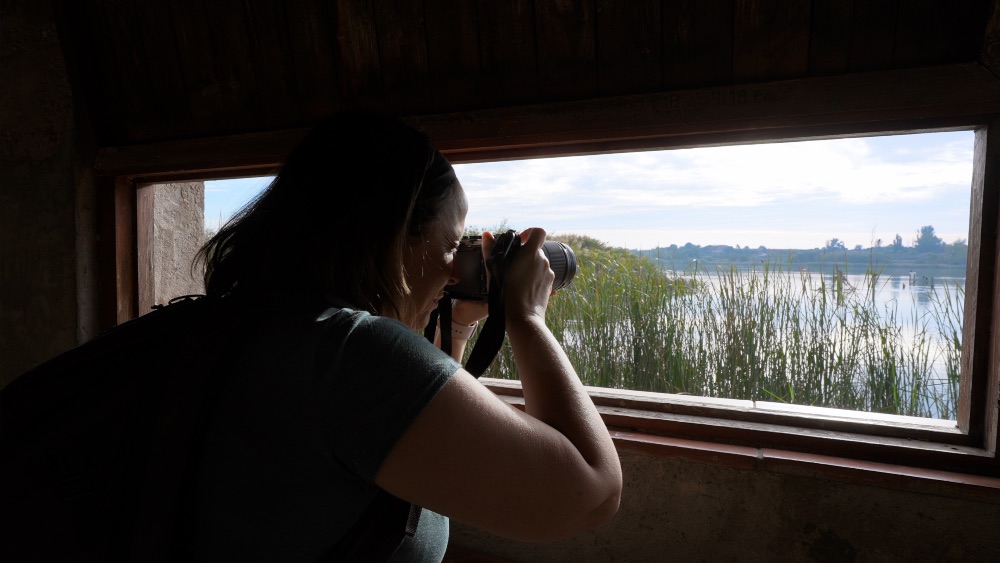 Observación de aves en el estany d'Ivars y Vila-sana. Observación de aves en el estany d'Ivars y Vila-sana.