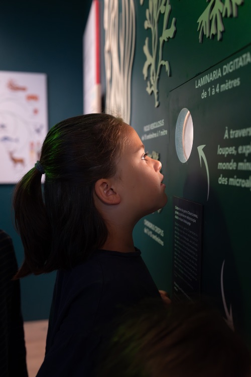 El museo Algae es ideal para visitarlo en familia. Foto Fred Barat Centre ALGAE. El museo Algae es ideal para visitarlo en familia. Foto Fred Barat Centre ALGAE.