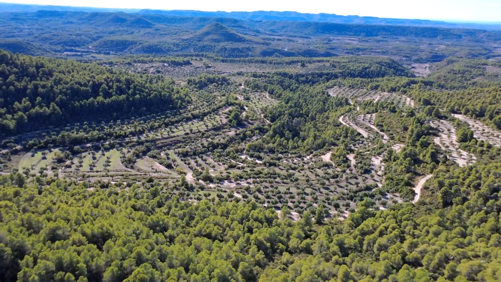 Vista aérea del valle de Vinaixa. Vista aérea del valle de Vinaixa.