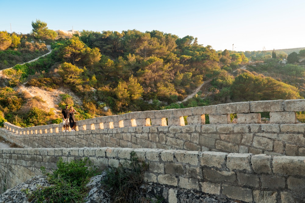 Victoria Lines es el nombre de las fortificaciones británicas del siglo XIX construidas en Malta. Victoria Lines es el nombre de las fortificaciones británicas del siglo XIX construidas en Malta.