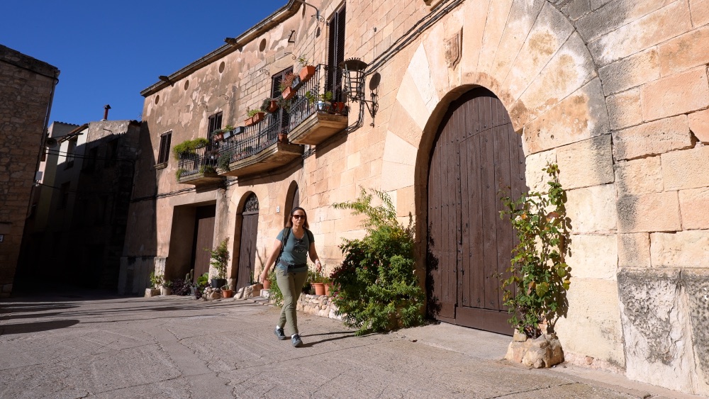 El pueblo de Vinaixa, que da nombre al valle, es una localidad con un casco histórico realmente interesante. El pueblo de Vinaixa, que da nombre al valle, es una localidad con un casco histórico realmente interesante.